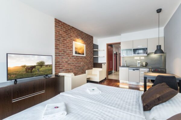 Albertov Rental Apartments, Prag